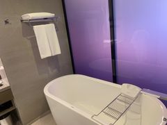 -南京禄口机场雅高铂尔曼大酒店