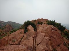-红山国家森林公园