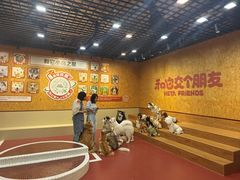 -和它·交个朋友·狗咖猫咖(爱琴海店)