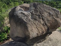 -白水寺森林公园