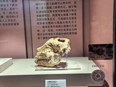 -咸宁市博物馆