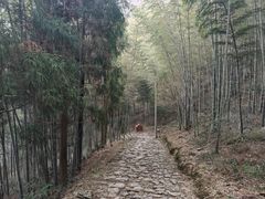 -仙霞关景区