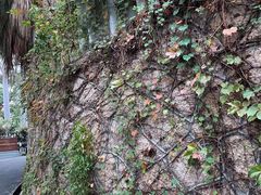 -鼓浪屿风景名胜区-英国领事馆旧址