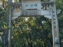 -梧桐山风景名胜区