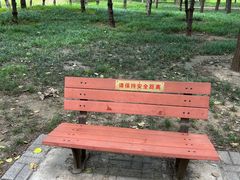 -将府公园