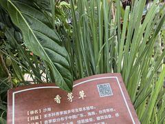 -西双版纳傣族园