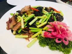 -东哥紫阳蒸盆子(旺座·现代城店)