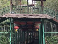 -陶祖圣境风景区