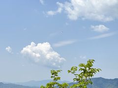 -天女山森林公园