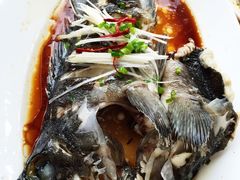 -海岛渔村大酒店(云霄路店)