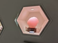 -安徽省地质博物馆