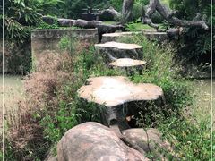 -广西壮族自治区药用植物园