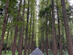 -东平国家森林公园