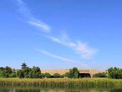 -洋湖国家湿地公园