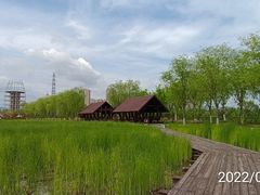 -永定河休闲森林公园