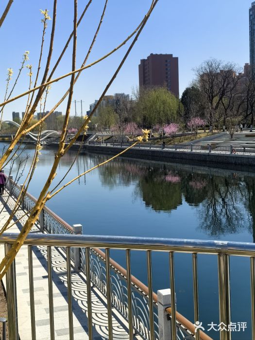 坝河休闲公园图片