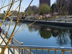 -坝河休闲公园