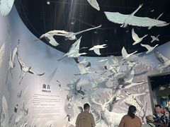 -中国湿地博物馆