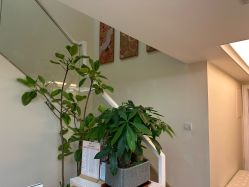 -美肌工坊皮肤管理