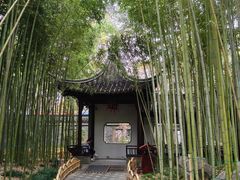 -乔园