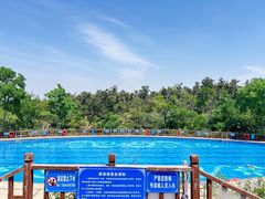 -东海森林温泉