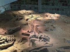 -自贡恐龙博物馆