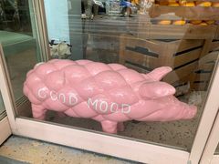 -WHEN PIGS FLY当猪飞