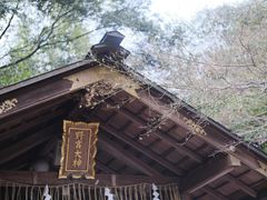 -野宫神社