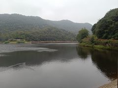 -桃花岭景区