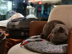 -Line 咖啡(石厦花园店)