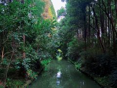 -同里国家湿地公园