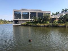 -厦门国家会计学院