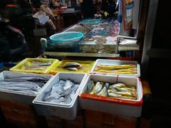 -众彩物流水产市场