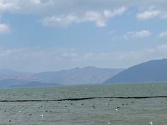 -大理洱海