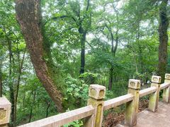 -灵岩山风景区