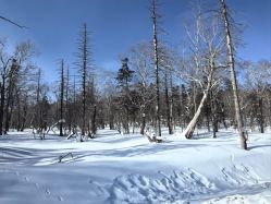 -大秃顶子山