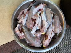 -长顺河豚馆(江洲东路)