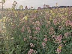 -中国天府农业博览园