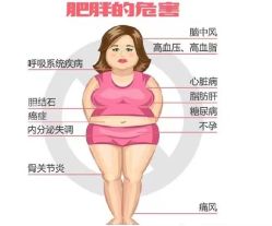 -莫纳瑜伽·普拉提