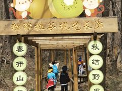 -大岭沟猕猴桃谷风景区