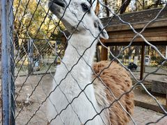 -长白岛森林公园