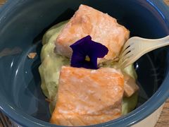 -百好乐宠物友好餐厅(朝外大街店)