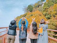 -少华山国家森林公园