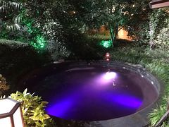 -杭州第一世界大酒店·云曼温泉