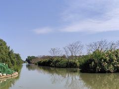 -大湾区中央湿地公园