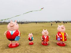 -漩门湾国家湿地公园