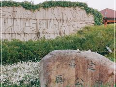 -嘉定紫藤园
