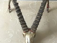 -宝山一号馕坑肉