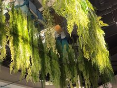 -三个椰子·现砍椰子鸡(金源CBD店)