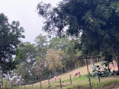 -深圳野生动物园